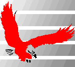 logo EagleRidge Technologies LOGO